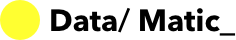 DataMatic